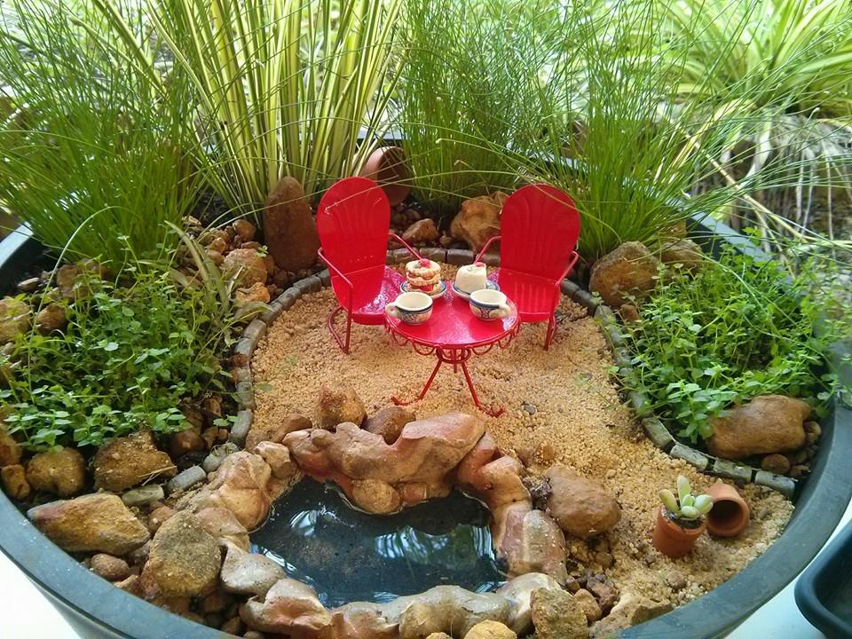 Мини-сад в горшке - хобби для квартирных дачников и что нужно для миниатюрного садоводства.