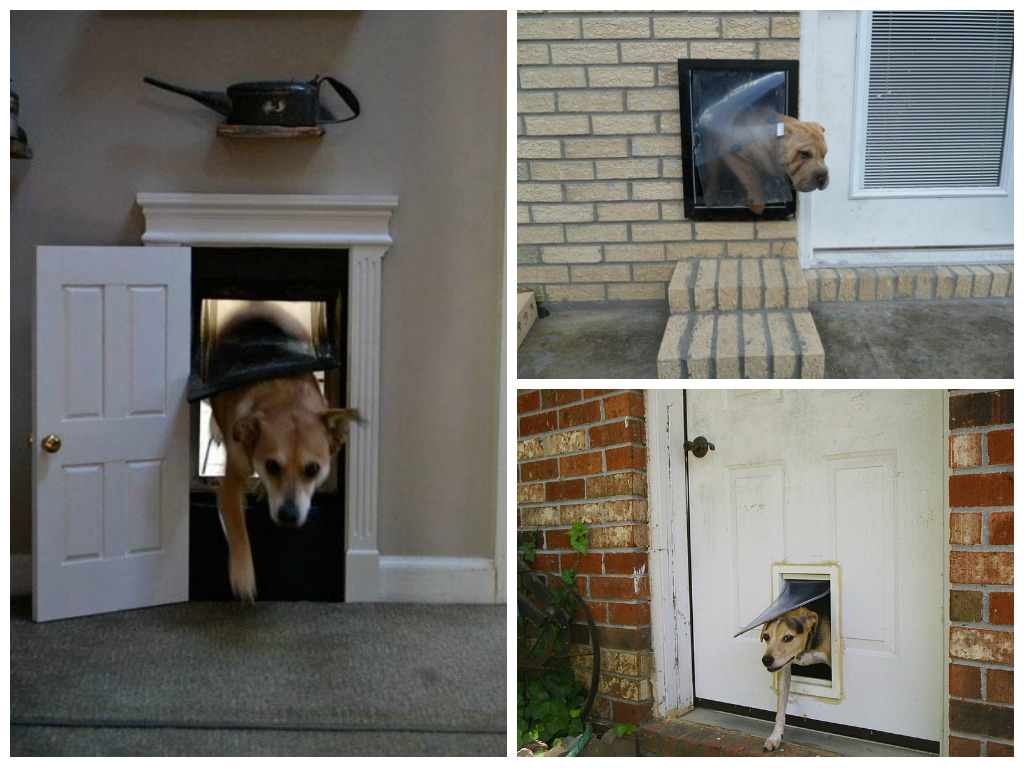 Как сделать дверцу для собаки в двери. Сделай сам